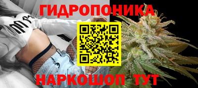 ПСИЛОЦИБИНОВЫЕ ГРИБЫ Апшеронск