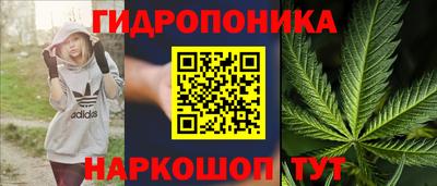 ПСИЛОЦИБИНОВЫЕ ГРИБЫ Апшеронск
