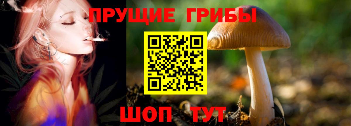 Борисоглебск  Псилоцибиновые грибы Magic Shrooms  Вход с VPN 